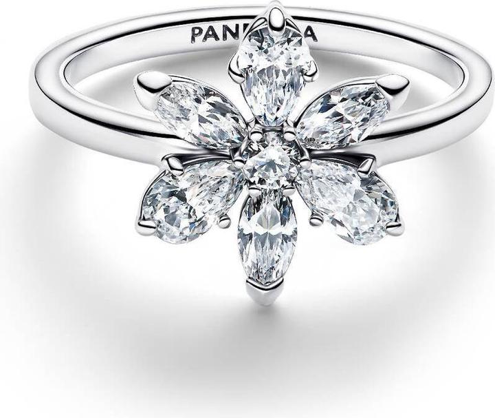 Produktbild Pandora Silberring 925 (56, 925 Silber)