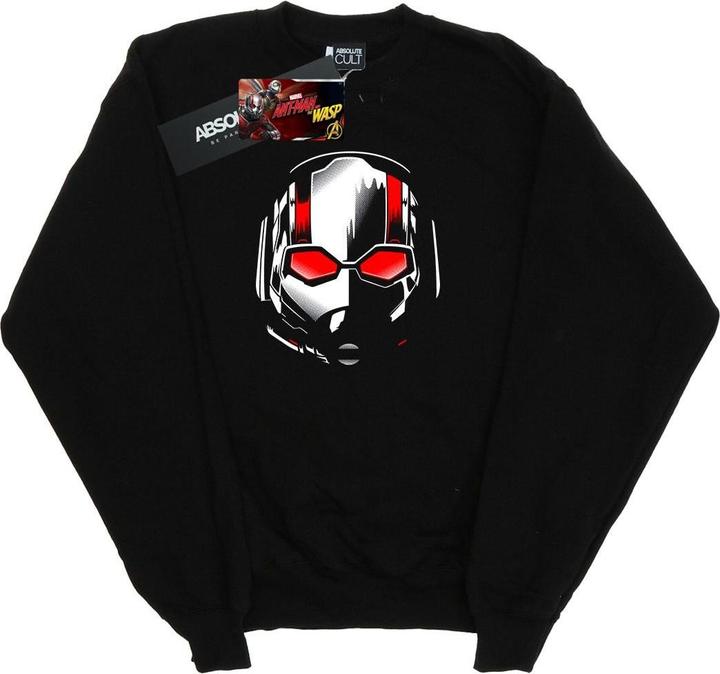 Immagine prodotto Felpa Garçons Ant-Man And The Wasp Maschera Scott (140, 146)