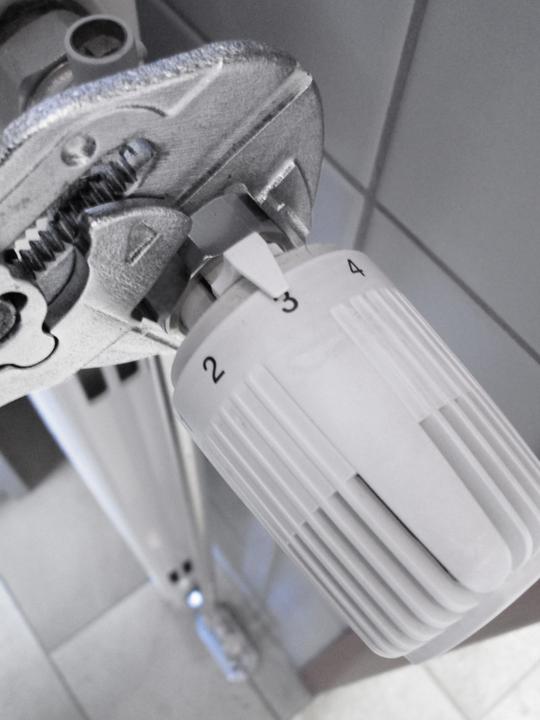 Actual product image Gedore 183 7 TC 3066029 Pliers spanner 40 mm 185 mm (185 mm)