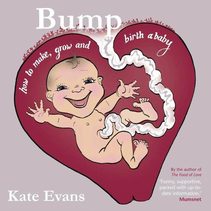 Image du produit Bump (Anglais, Kate Evans, 2014)