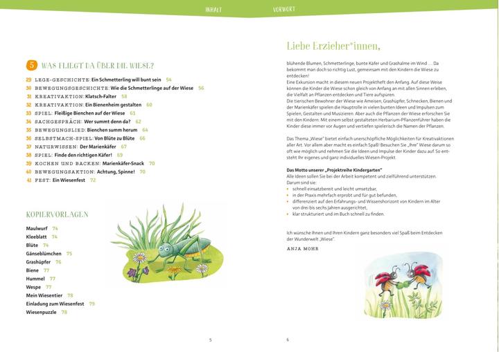 Produktbild Projektreihe Kindergarten - Die Wiese (Deutsch, Anja Mohr, Rebecca Meyer, 2023)