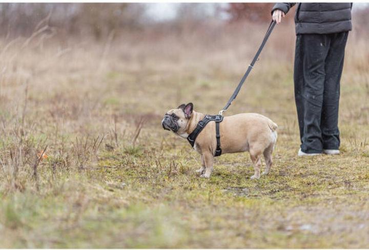 Image du produit Trixie Premium FlexMesh harness, wide fit,L:63–92cm/25mm,black (L, Chien, Général, Promenade)