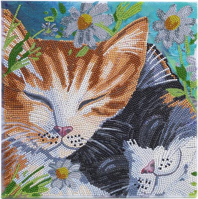 Actual product image Craft Buddy Sleeping Cats, picture 30x30cm Crystal Art