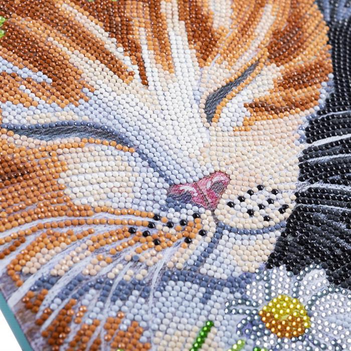Actual product image Craft Buddy Sleeping Cats, picture 30x30cm Crystal Art