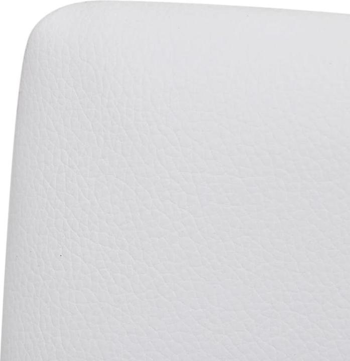 Produktbild vidaXL Dino