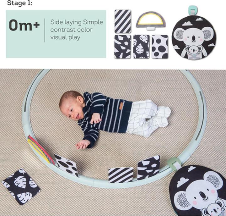 Actual product image Taf Toys Activities Hoop All Around Me