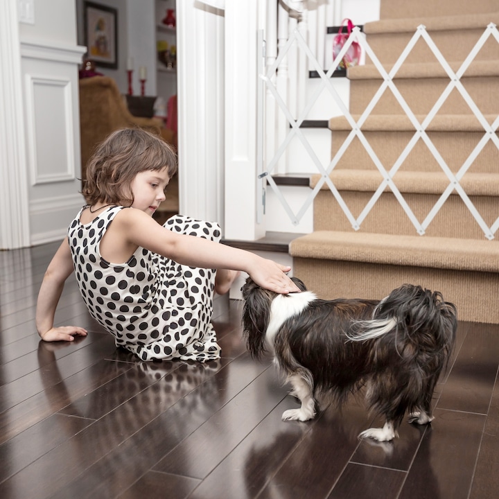 Actual product image Relaxdays Dog barrier (3 cm)
