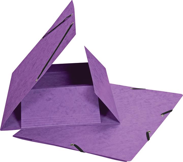 Immagine prodotto Biella Cartella con elastico (A4, 1 x)