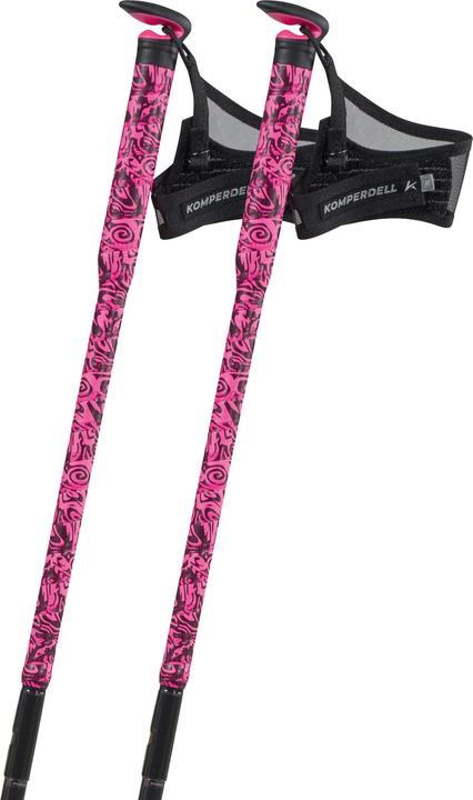 Komperdell The Erlkönig