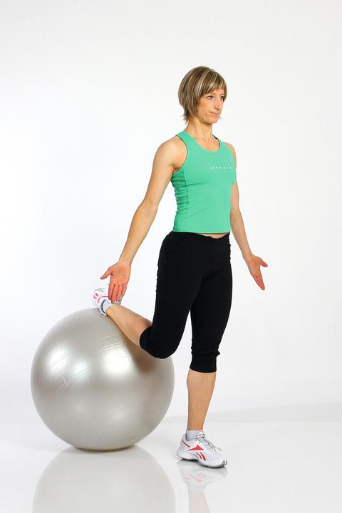 Produktbild Togu Gymnastikball Powerball ABS (45 cm)