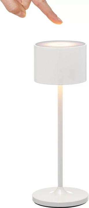 Immagine prodotto Blomus Dispositivo mobile a LED -FAROL- canna di fucile S