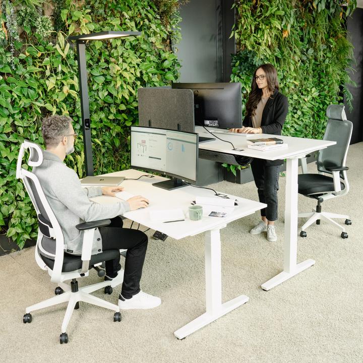 Immagine prodotto Yaasa Desk Expert (160 x 80 cm)