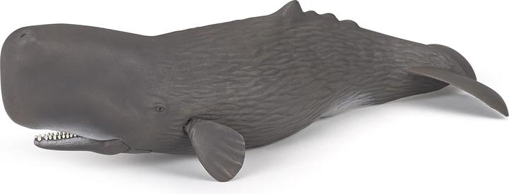 Produktbild Papo Pottwal