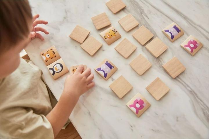 Produktbild Plantoys Tier Memory