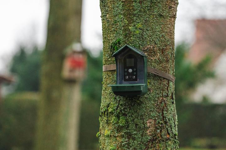 Produktbild Braun Photo 130 Solar