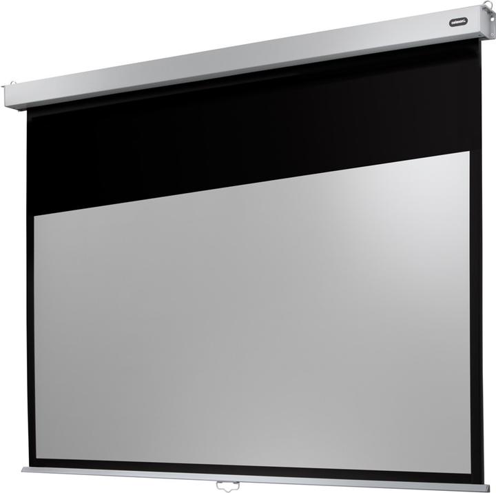 Celexon Rollo Professional Plus, 16:9 (135.50", 16:9)