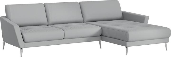 Cat. SK 20, S41/ 22 delfino