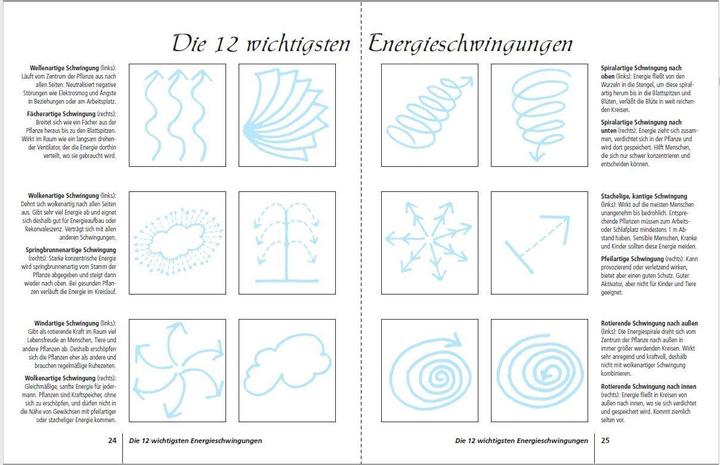 Produktbild Positive Energie mit Zimmerpflanzen - 86 Energiepflanzen für mehr Kraft, Harmonie und innere Ru (Deutsch, Eva Katharina Hoffmann, 2019)