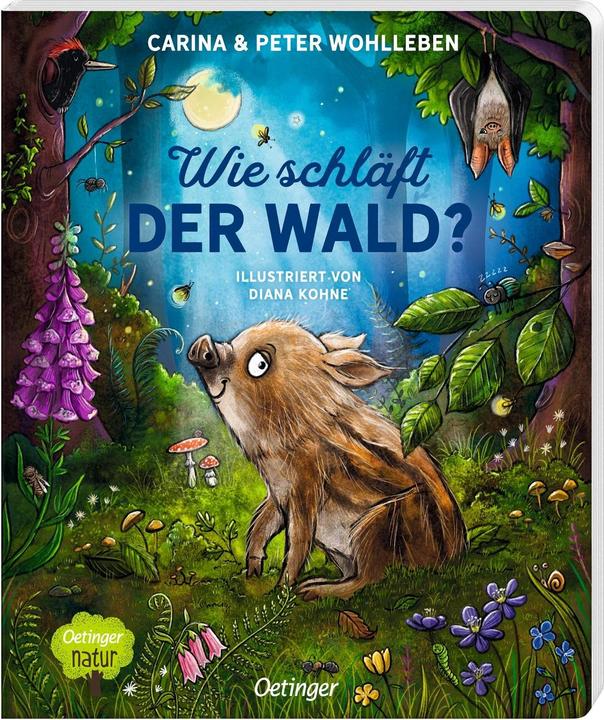 Produktbild Wie schläft der Wald? (Deutsch, Carina Wohlleben, Diana Kohne, Peter Wohlleben, 2023)