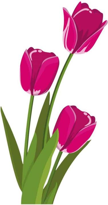 Produktbild Trenddeko Tulpen - pink (44 x 80 cm)