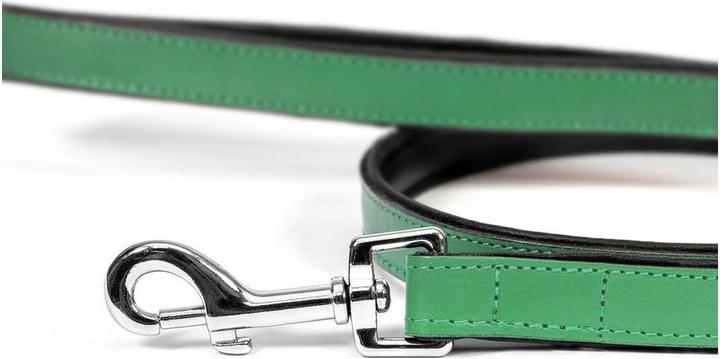 Image du produit Gloria Laisse pour chien 1.8 x 100 cm vert (Chien, Général, Promenade)