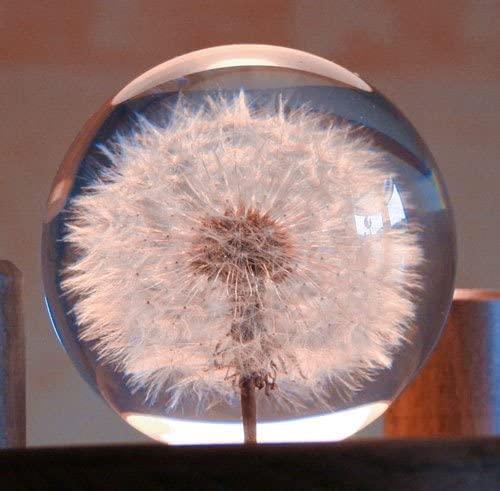 Produktbild Lauschaer Glaskunst Briefbeschwerer Pusteblume