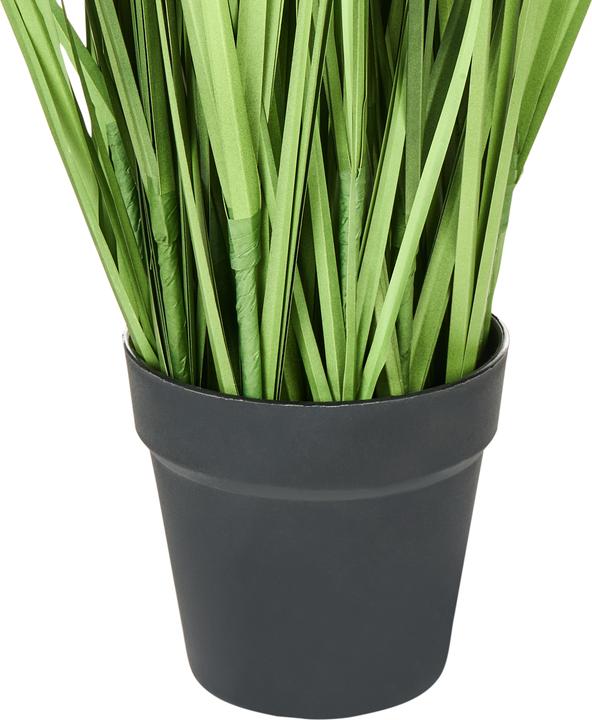 Image du produit Beliani Grass (130 cm)