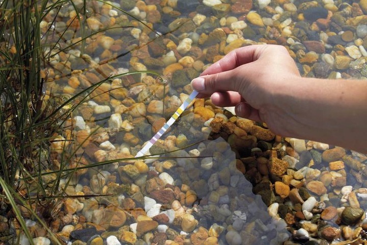 Immagine prodotto Oase AquaActiv QuickSticks