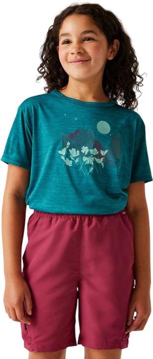 Produktbild Regatta Alvarado IX TShirt (158)