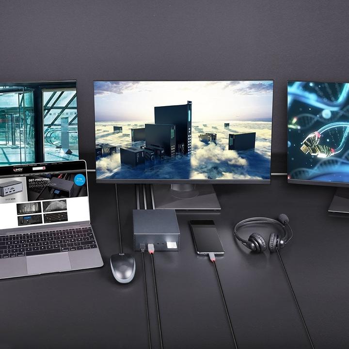 Actual product image Lindy DST Pro 101 (USB-C, 1 portion)