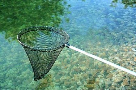 Actual product image Oase Fish landing net small 1 level