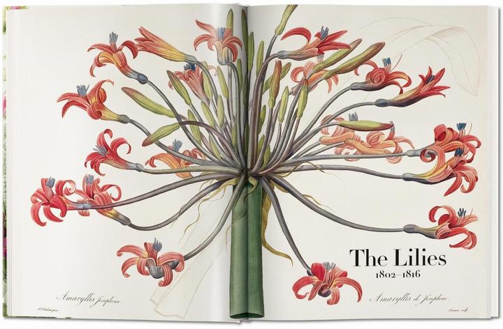 Produktbild Redouté. The Book of Flowers (Deutsch, H. Walter Lack, 2017)