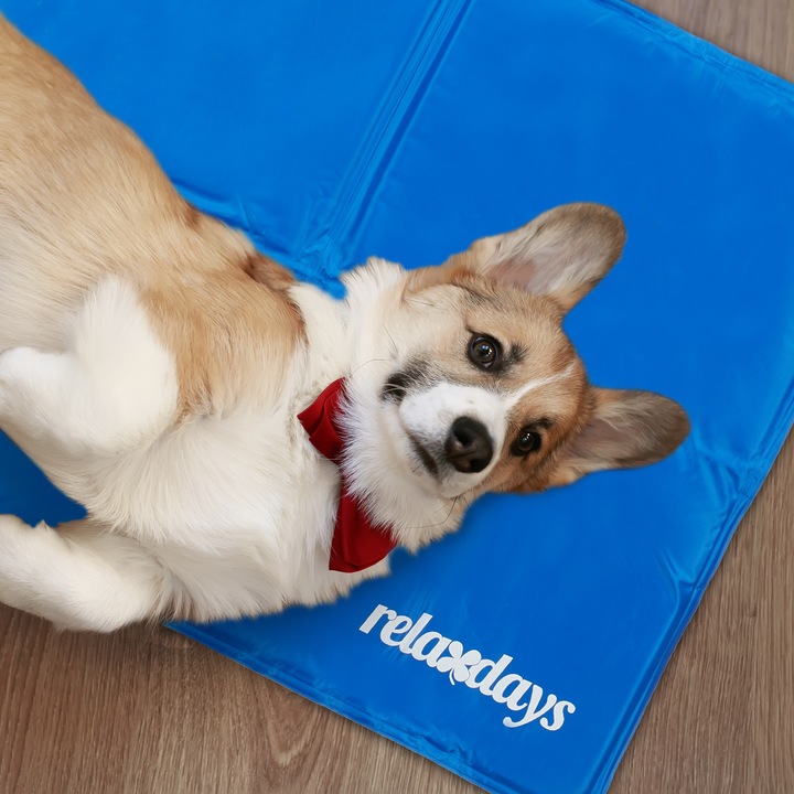 Image du produit Relaxdays Tapis de refroidissement (Chien)