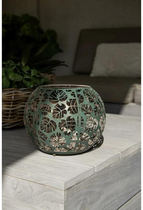 Image du produit STT Monstera