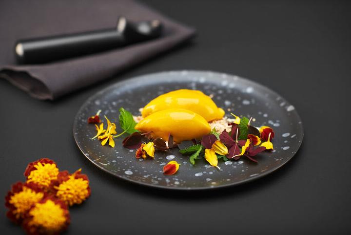 Immagine prodotto Wilfa Gelatiera alla vaniglia