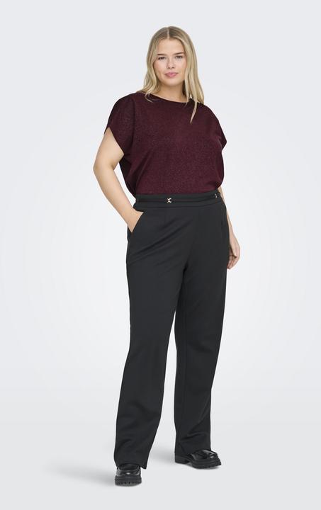 Image du produit Only Carmoster Glitter S/S Top Jrs Noos (L)