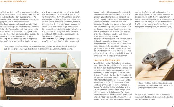 Actual product image Rennmäuse (German, Engelbert Kötter, 2015)