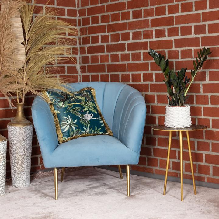 Immagine prodotto Flowerbox Lucky Feather "Raven" - Zamioculcas zamiifolia nera (35 cm)