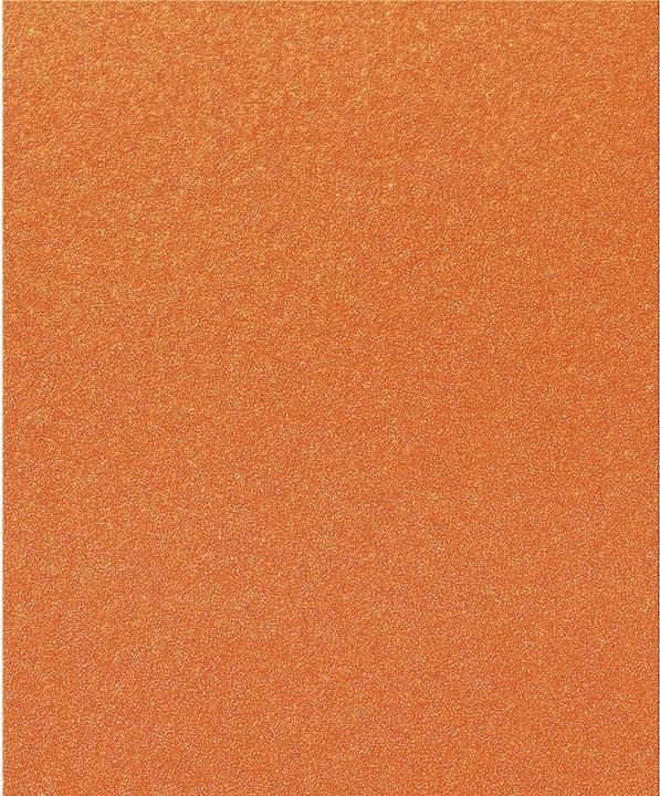 Image du produit Tecwerk Schleifpapier (220)