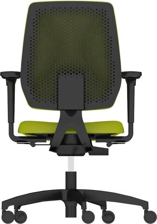 Image du produit Dauphin 7639 SLP4 (40 - 52 cm)