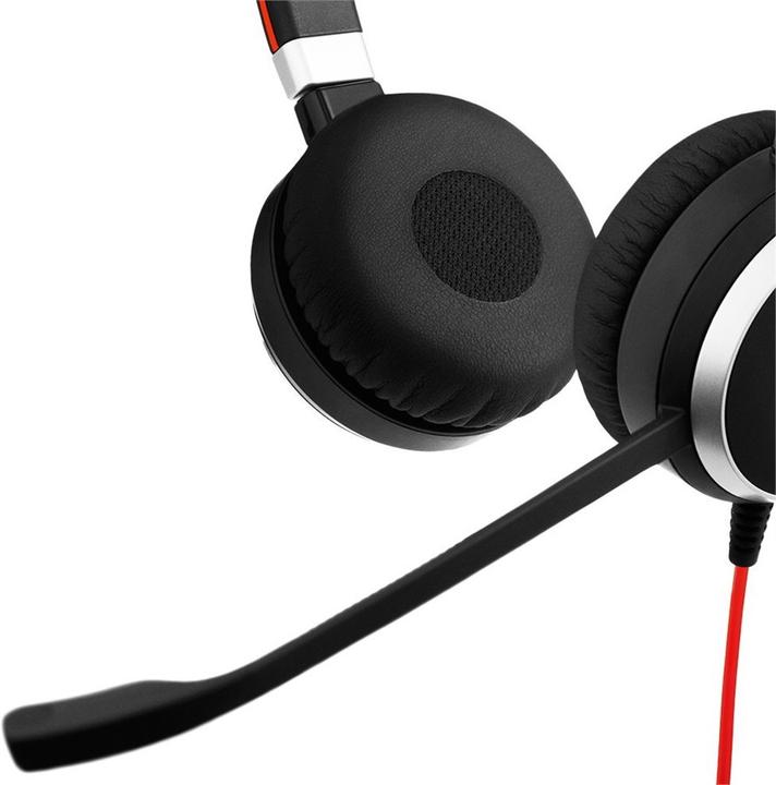 Actual product image