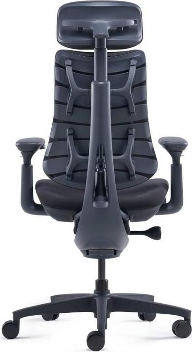 Actual product image LiberNovo Omni Dynamic (44 - 55 cm)