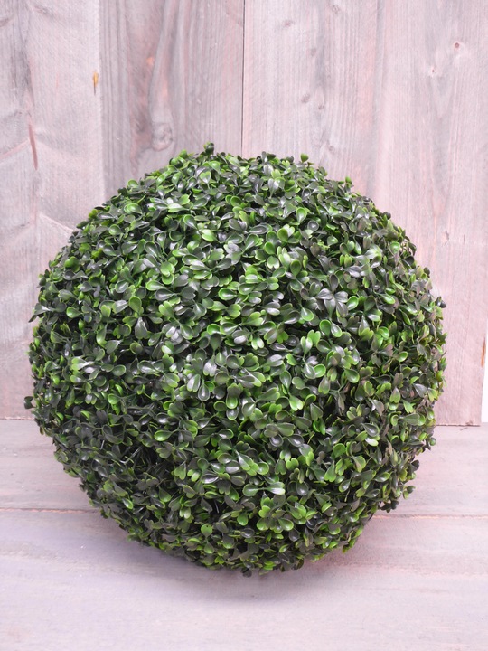 Botanic-Haus Buchskugel (30 cm)