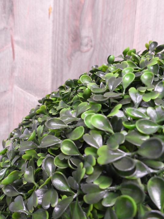 Produktbild Botanic-Haus Buchskugel (30 cm)