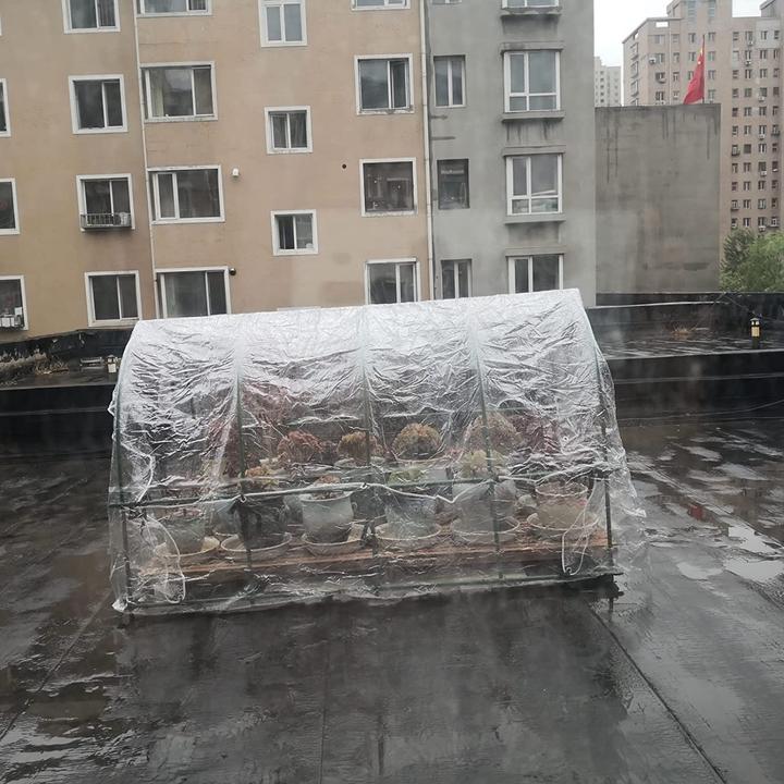 Immagine prodotto Hiyougo Plane (4 x 2.40 m)