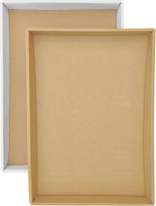 Actual product image Rico Design Painting by numbers Plants