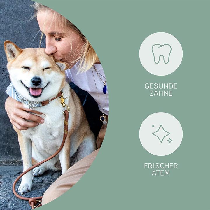 Produktbild Mammaly Fresh Smile Plus Hunde Zahnpflege Pulver