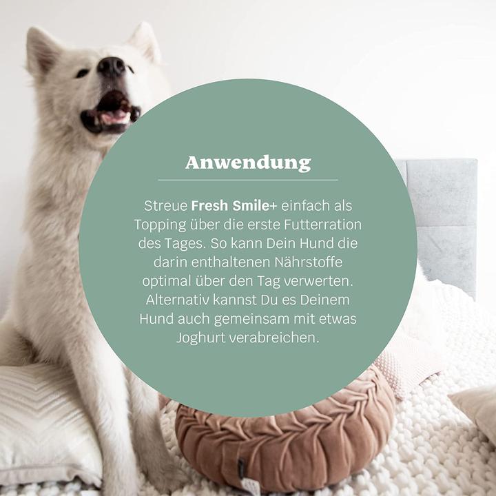 Produktbild Mammaly Fresh Smile Plus Hunde Zahnpflege Pulver