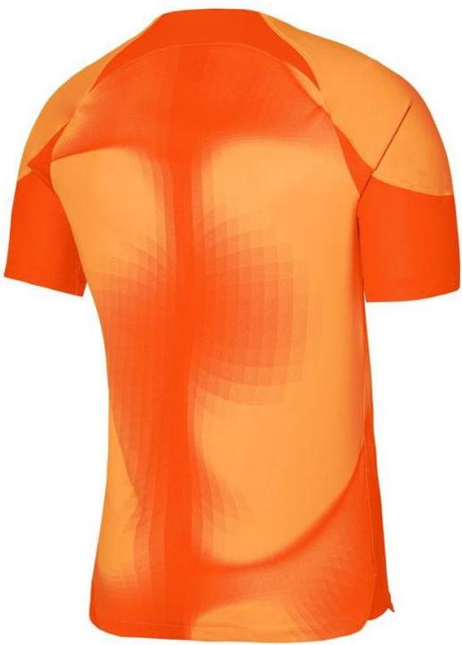 Productafbeelding Nike Gardien IV keepershirt heren (M)