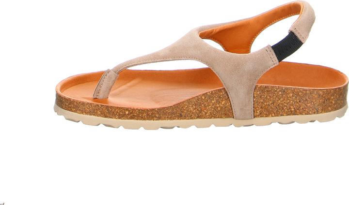 Actual product image Verbenas REAGAN Piedra (40)